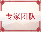 专家团队