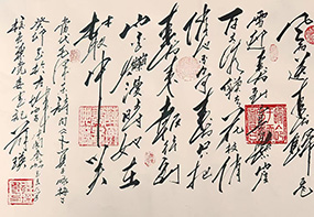 藏品展示